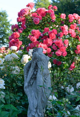 Garten aller Sinne - Bild 11