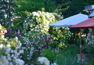 Garten aller Sinne - Bild 12