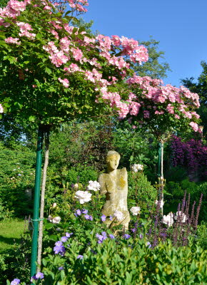 Garten aller Sinne - Bild 17